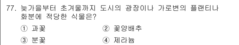 조경기사 2020년 76번 - 정답인 '2. 꽃양배추'는 늦가을부터 초기 올까지 도시에 적합한 식물로,... 에 관한 핵심 기출문제