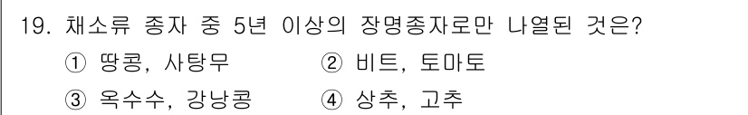 종자기사 2020년 19번 - 비트와 토마토는 모두 5년 이상의 장명종자로 분류됩니다. 이들 작물은 생... 에 관한 핵심 기출문제