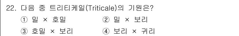 종자기사 2020년 22번 - 트리티케일(Triticale)은 밀(Triticum)과 호밀(Secale... 에 관한 핵심 기출문제