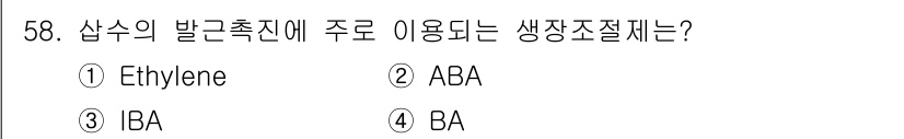 종자기사 2020년 58번 - 정답 '3. IBA'는 아미노부티르산(Indole-3-butyric ac... 에 관한 핵심 기출문제