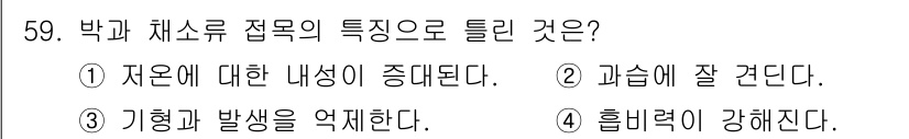 종자기사 2020년 59번 - 정답이 '3'인 이유는 박과 채소류 접목은 식물의 기형과 발병을 억제하는... 에 관한 핵심 기출문제