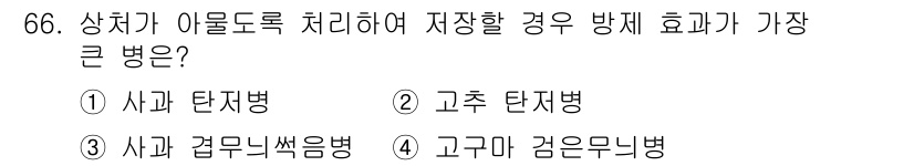 종자기사 2020년 66번 - 이 문제에서 '고구마 검은무늬병'이 정답인 이유는 이 병이 상처에 매우 ... 에 관한 핵심 기출문제