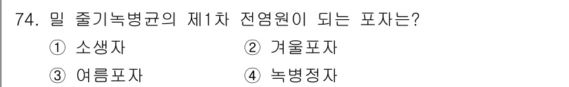 종자기사 2020년 74번 - 수목에서 줄기녹병균의 첫 번째 전염원이 되는 포자는 '여름포자'입니다. ... 에 관한 핵심 기출문제