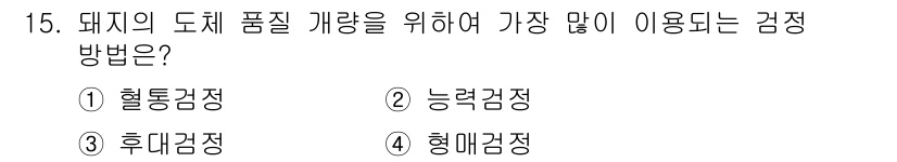 축산기사 2020년 15번 - 돼지의 도체 품질 개량을 위해 가장 많이 이용되는 검정 방법은 형매검정입... 에 관한 핵심 기출문제