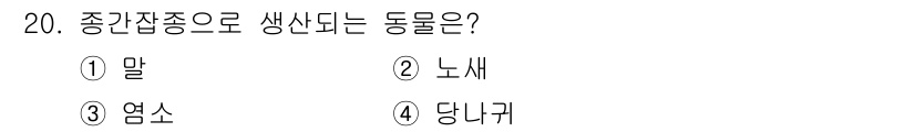 축산기사 2020년 20번 - 종간잡종으로 생산되는 동물은 '노새'입니다. 말과 당나귀를 교배하여 생산... 에 관한 핵심 기출문제