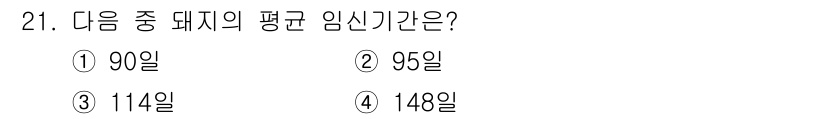 축산기사 2020년 21번 - 돼지의 평균 임신 기간은 약 114일입니다. 다른 선택지인 90일, 95... 에 관한 핵심 기출문제
