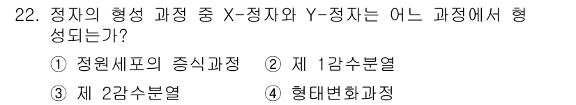 축산기사 2020년 22번 - ‘X-정자와 Y-정자’의 형성 과정은 '제 1감수분열'에서 이루어지며, ... 에 관한 핵심 기출문제