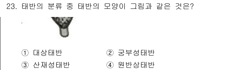 축산기사 2020년 23번 - 문제에서 제시된 '태반의 모양'은 다형성이 아닌 원반 형상을 나타냅니다.... 에 관한 핵심 기출문제