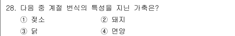 축산기사 2020년 28번 - 계절 변식의 특성을 지닌 가축은 '4. 면양'입니다. 면양은 온도 변화에... 에 관한 핵심 기출문제