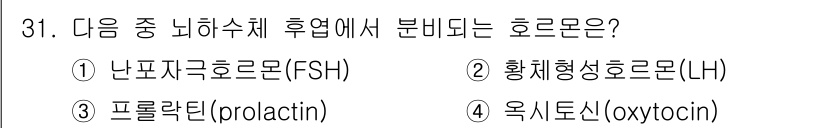 축산기사 2020년 31번 - 정답이 '4'인 이유는 '옥시토신(oxytocin)'이 뇌하수체 후엽에서... 에 관한 핵심 기출문제