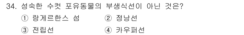 축산기사 2020년 34번 - 성숙한 수컷 포유동물의 부생식선에 해당하지 않는 것은 '랑게르한스 섬'입... 에 관한 핵심 기출문제