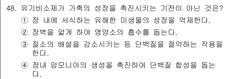 축산기사 2020년 48번 - 정답인 '4'번은 장내 암모니아의 생성을 촉진하여 단백질 합성을 돕는 것... 에 관한 핵심 기출문제
