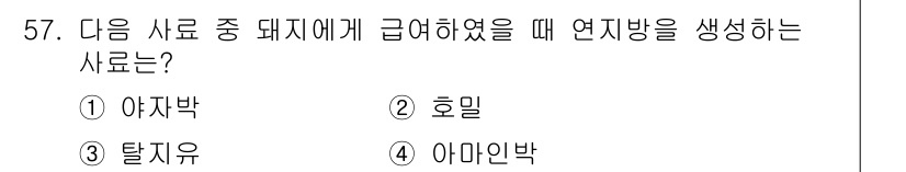 축산기사 2020년 57번 - 돼지에 급여했을 때 연지방을 생성하는 사료는 아마인박입니다. 아마인박은 ... 에 관한 핵심 기출문제