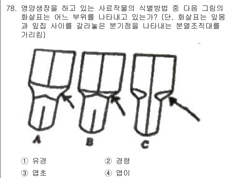 축산기사 2020년 78번 - 이 문제는 화살표가 가리키는 부분이 '경량'임을 나타냅니다. 그림 A, ... 에 관한 핵심 기출문제