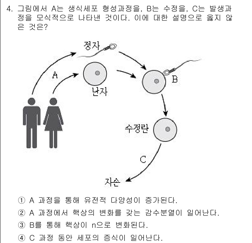 9급_지방직_공무원_과학 2016년 4번 - 정답이 '3'인 이유는 B 과정에서 발생하는 핵상이 n으로 변환되지는 않... 에 관한 핵심 기출문제