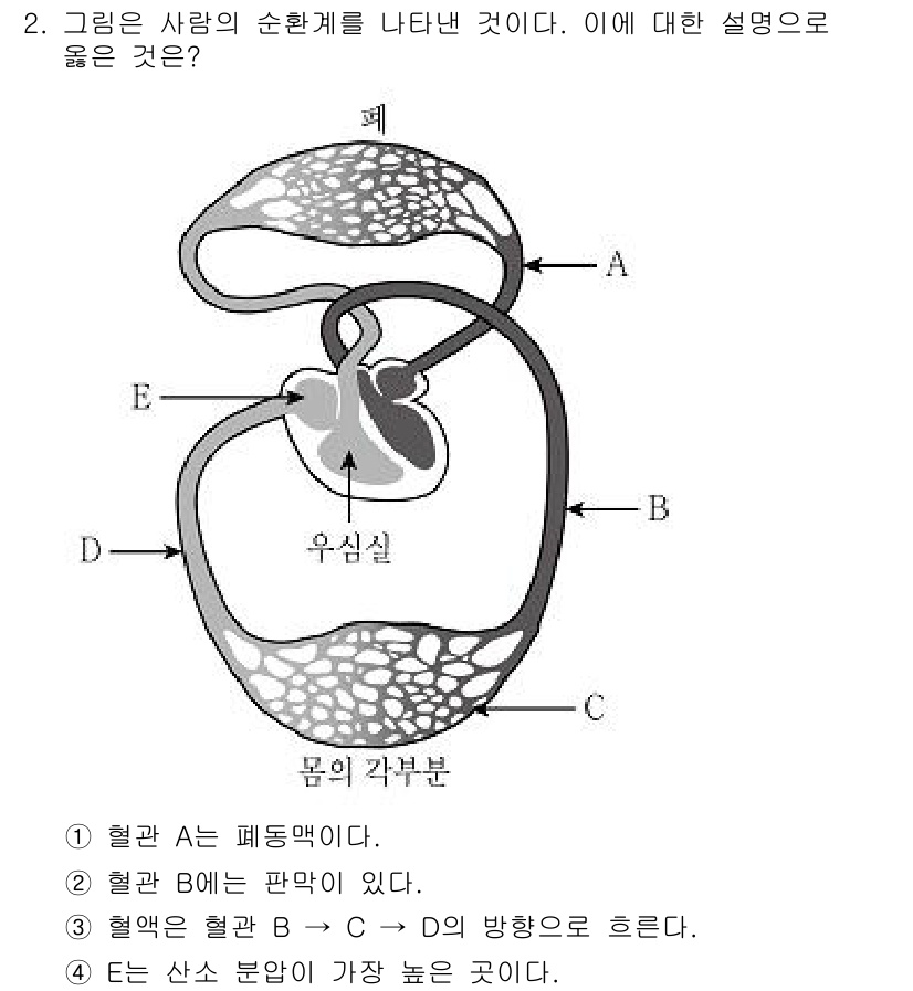 9급_지방직_공무원_과학 2017년 2번 - 이 질문은 인간의 순환계를 묘사한 그림을 통해 혈액의 흐름에 대한 이해를... 에 관한 핵심 기출문제