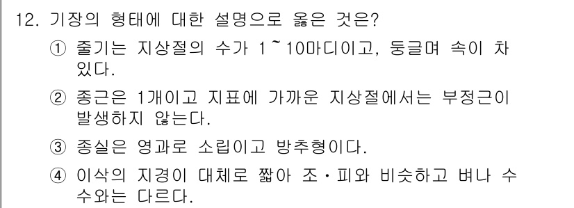 9급_지방직_공무원_식용작물 2020년 12번 - 기장의 형태에 대한 설명 중에서 정답인 3번은 "중심은 영꼬리 모양이고 ... 에 관한 핵심 기출문제