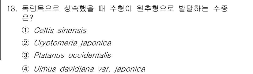 9급_지방직_공무원_조림 2020년 13번 - 독립목으로 성숙했을 때 수형이 원추형으로 발달하는 수종은 'Celtis ... 에 관한 핵심 기출문제
