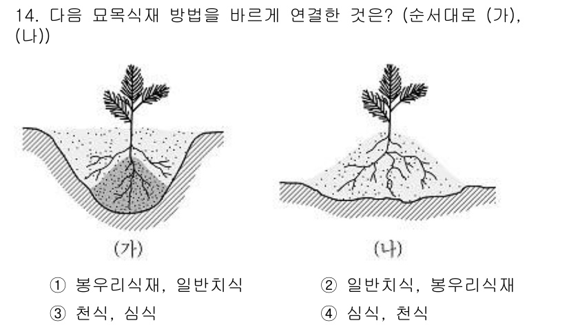 9급_지방직_공무원_조림 2020년 14번 - 문제의 (가)와 (나) 그림에서 식재 방식이 다릅니다. (가)는 뿌리와 ... 에 관한 핵심 기출문제