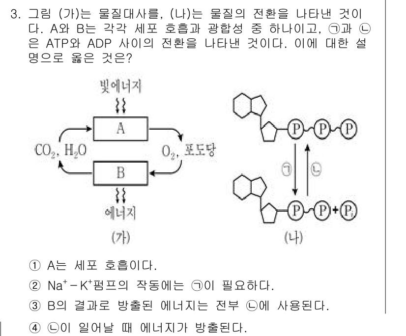 9급_국가직_공무원_과학 2020년 3번 - 주어진 문제에서 A는 세포 호흡과 관련된 과정이며, B는 광합성으로 AT... 에 관한 핵심 기출문제