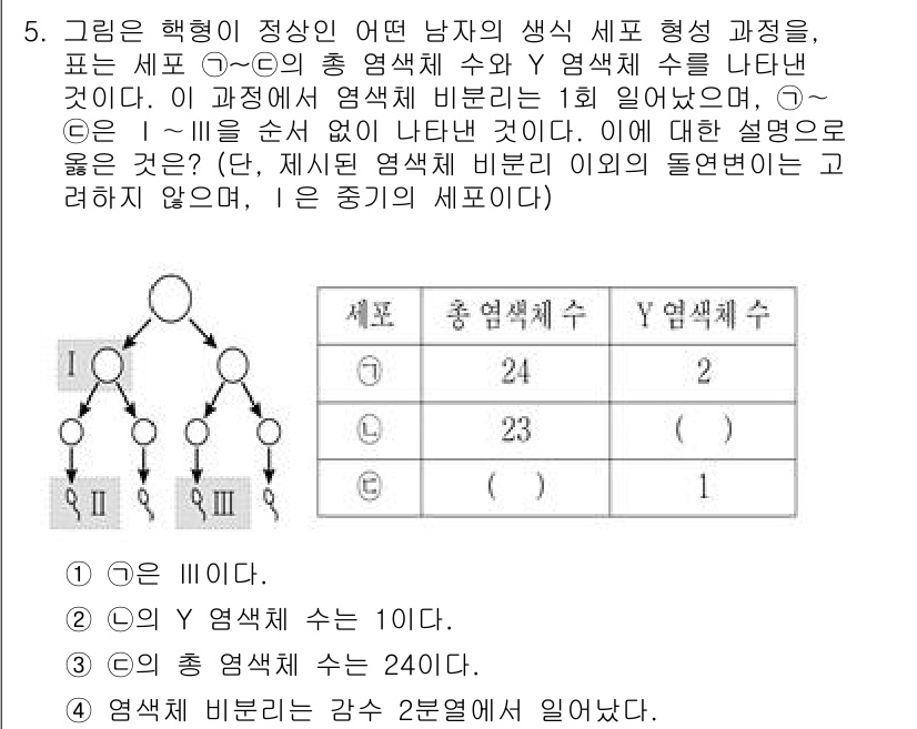 9급_국가직_공무원_과학 2020년 5번 - 문제에서 주어진 세포 형성 과정의 Y 염색체 수와 총 염색체 수의 비율을... 에 관한 핵심 기출문제