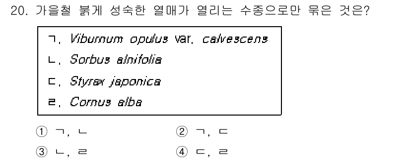 9급_국가직_공무원_조경학 2020년 20번 - 가을철 붉게 성숙한 열매가 열리는 수종은 주로 Viburnum opulu... 에 관한 핵심 기출문제