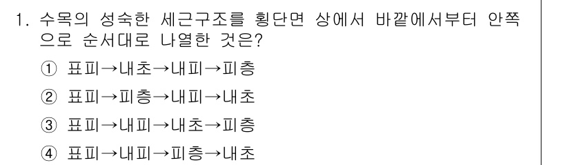 9급_국가직_공무원_조림 2020년 1번 - 수목의 성숙한 세균구조는 일반적으로 표피, 내초, 피층 순으로 배열되어 ... 에 관한 핵심 기출문제