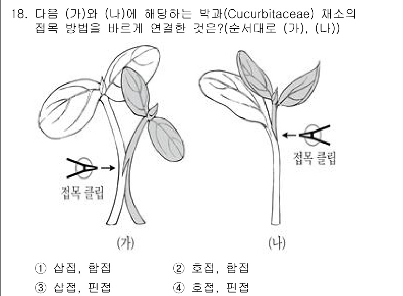 9급_국가직_공무원_재배학개론 2020년 18번 - 가 그림은 줄기가 세로로 벌어져 있는 모습으로, '합접'을 통해 두 줄기... 에 관한 핵심 기출문제