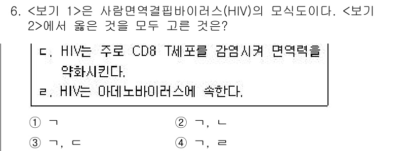 9급_지방직_공무원_서울시_생물 2020년 6번 - HIV는 주로 CD8 T 세포를 감염시켜 면역력을 약화시키기 때문에 ①이... 에 관한 핵심 기출문제