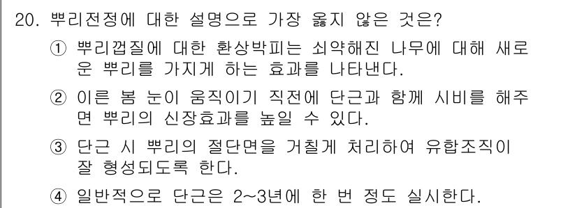 9급_지방직_공무원_서울시_조경학 2020년 20번 - 이 문제에서 가장 옳지 않은 설명은 **③**입니다. 단근 시 뿌리의 절... 에 관한 핵심 기출문제