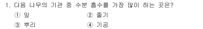 임업종묘기능사 2015년 1번 - 수분 흡수를 가장 많이 하는 부분은 나무의 뿌리입니다. 뿌리는 토양 속에... 에 관한 핵심 기출문제