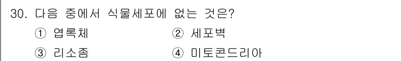 임업종묘기능사 2015년 30번 - 식물세포의 구조를 보면 엽록체와 세포벽은 식물세포에서 일반적으로 존재하는... 에 관한 핵심 기출문제