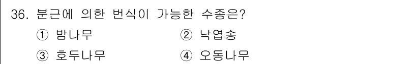 임업종묘기능사 2015년 36번 - '오동나무'는 번식에서의 변화가 가능한 수종으로 알려져 있습니다. 이 나... 에 관한 핵심 기출문제