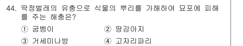 임업종묘기능사 2015년 44번 - 답은 '1. 굼벵이'입니다. 굼벵이는 딱정벌레의 유충으로, 식물의 뿌리를... 에 관한 핵심 기출문제