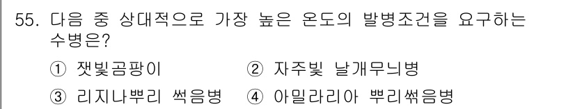 임업종묘기능사 2015년 55번 - 리지나뿌리 썩음병(3)은 고온 다습한 환경에서 발생하기 쉬운 질병입니다.... 에 관한 핵심 기출문제