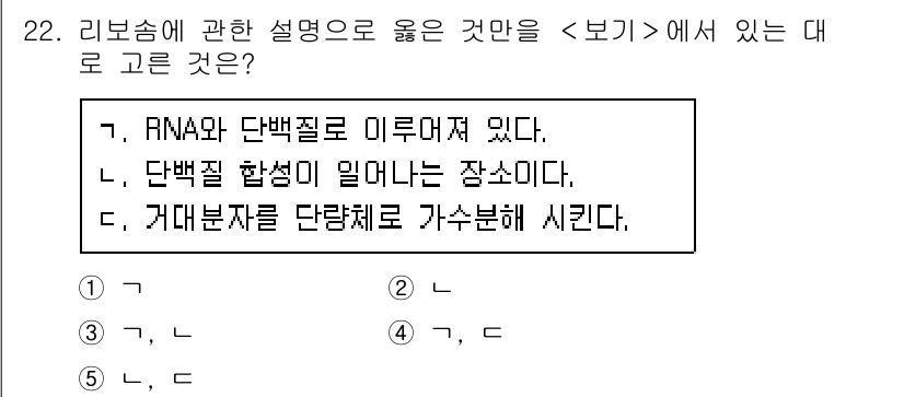 변리사_1차(3교시) 2020년 22번 - 리보솜은 단백질 합성이 이루어지는 주요 장소로, RNA와 단백질로 구성되... 에 관한 핵심 기출문제