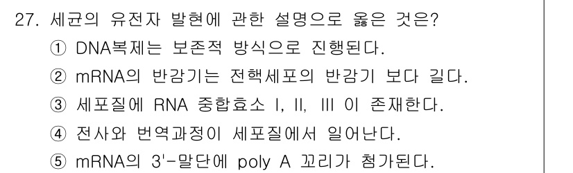 변리사_1차(3교시) 2020년 27번 - mRNA의 3'-말단에 poly A 꼬리가 첨가되는 것은 진핵세포에서 발... 에 관한 핵심 기출문제
