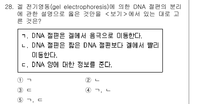 변리사_1차(3교시) 2020년 28번 - 겔 전기영동에서 DNA 절편은 전기장에 의해 크기에 따라 분리됩니다. 짧... 에 관한 핵심 기출문제