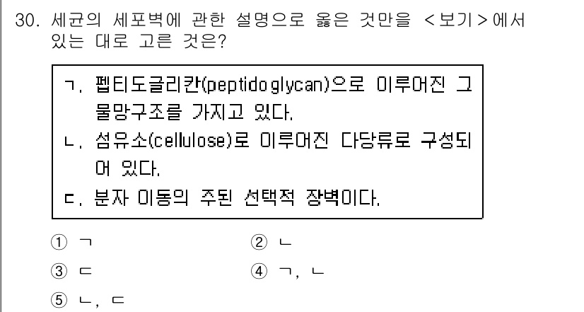 변리사_1차(3교시) 2020년 30번 - 1번 설명이 정답인 이유는 펩티도글리칸이 세균 세포벽의 주요 구성 요소로... 에 관한 핵심 기출문제