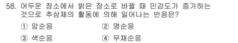 디지털인쇄산업기사 2019년 58번 - 이 문제에서 답은 '명순응'입니다. 명순응은 밝은 장소로 이동할 때 눈의... 에 관한 핵심 기출문제