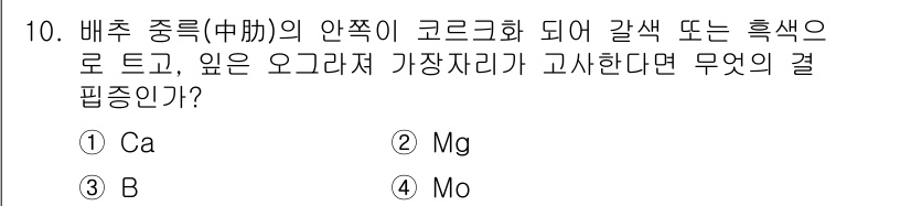 시설원예기사 2021년 10번 - 배추 중륙의 안쪽이 코르크화 되어 갈색 또는 흑색으로 변하는 현상은 미량... 에 관한 핵심 기출문제