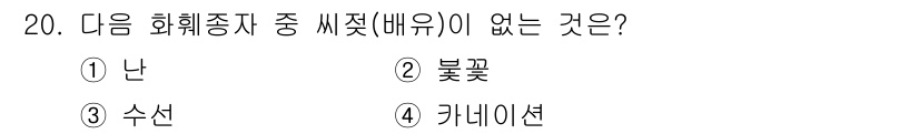 시설원예기사 2021년 20번 - '난'은 화훼의 씨앗(배유) 구조가 없는 식물로, 대신 물질을 저장하는 ... 에 관한 핵심 기출문제