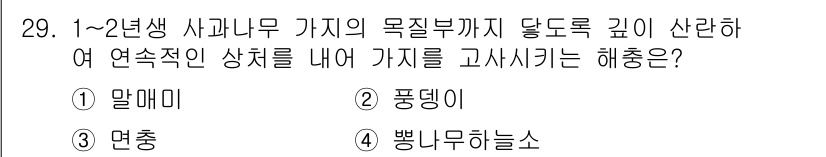 시설원예기사 2021년 29번 - 1~2년생 사과나무의 목질부까지 뿌리가 깊게 자리 잡도록 하려면 뿌리의 ... 에 관한 핵심 기출문제