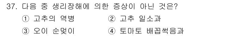 시설원예기사 2021년 37번 - '고추의 역병'은 생리장해가 아닌 병해입니다. 생리장해는 환경적 요인이나... 에 관한 핵심 기출문제