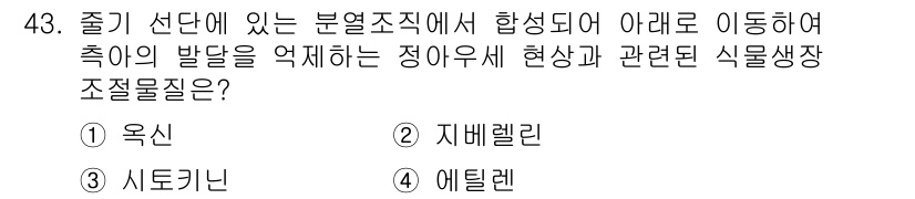 시설원예기사 2021년 43번 - 정답은 '1. 옥신'입니다. 옥신은 식물의 성장과 발달을 조절하는 주요 ... 에 관한 핵심 기출문제