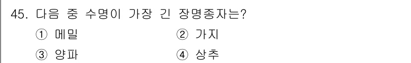 시설원예기사 2021년 45번 - 가지는 다른 수명과 비교했을 때 생장 속도가 빠르고 장명 기간이 길어 최... 에 관한 핵심 기출문제