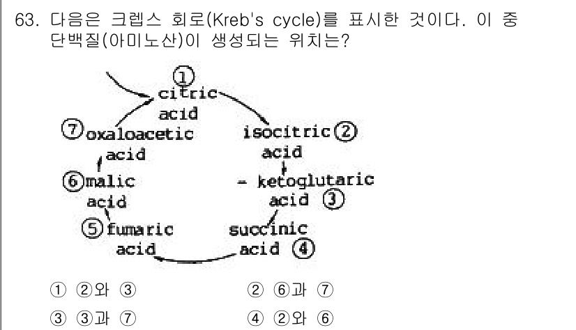 시설원예기사 2021년 63번 - 단백질의 구성 성분인 아미노산은 크렙스 회로에서 말산에서 생성됩니다. 즉... 에 관한 핵심 기출문제