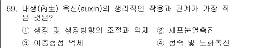 시설원예기사 2021년 69번 - 옥신(auxin)의 주요 기능은 식물의 세포 신장과 분화를 조절하는 것입... 에 관한 핵심 기출문제