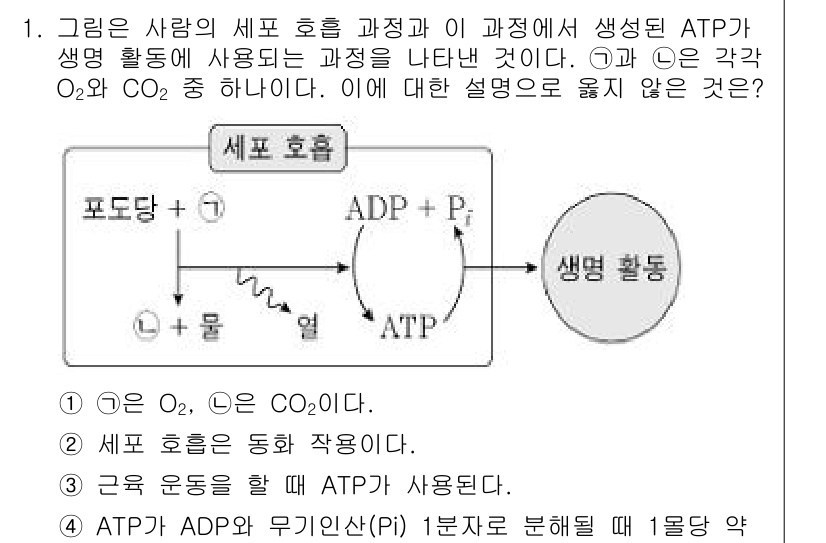 소방공무원(공개)_과학(구) 2020년 1번 - 주어진 그림은 세포 호흡과 ATP 생성 과정을 나타내고 있습니다. 각 선... 에 관한 핵심 기출문제
