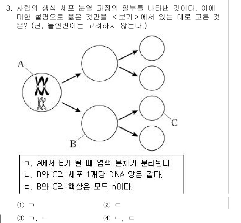 소방공무원(공개)_과학(구) 2020년 4번 - 이 문제에서 A, B, C는 각각 세포 분열의 단계인 감수분열의 결과로 ... 에 관한 핵심 기출문제
